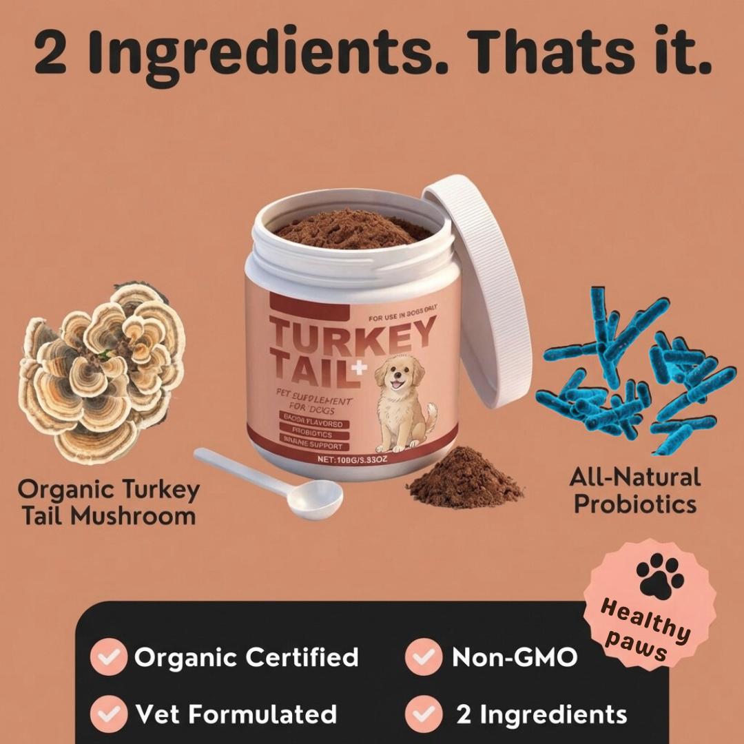 Supplement for Lipomas in Dogs