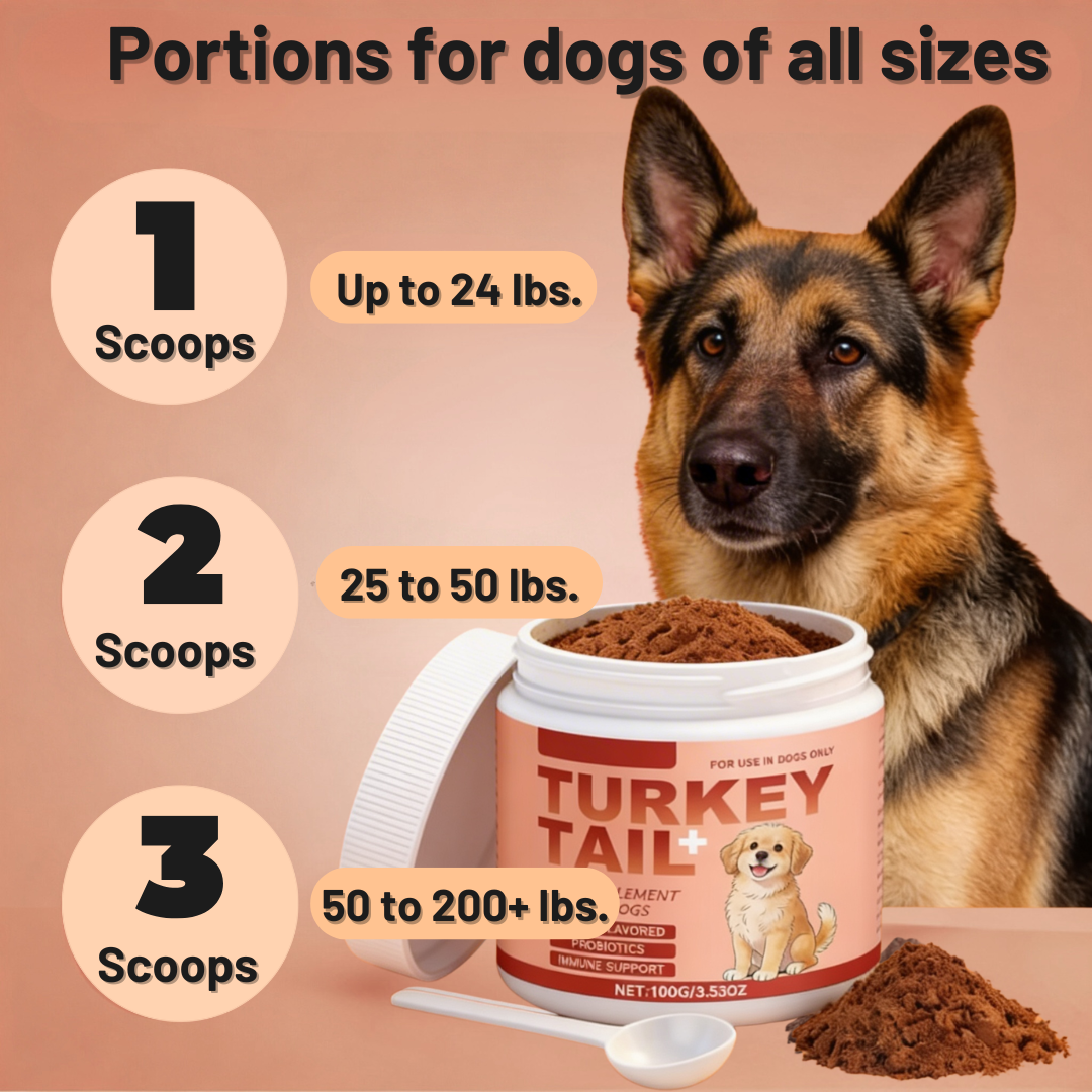 Supplement for Lipomas in Dogs