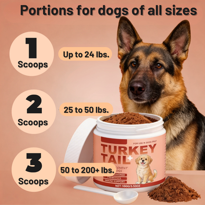 Supplement for Lipomas in Dogs