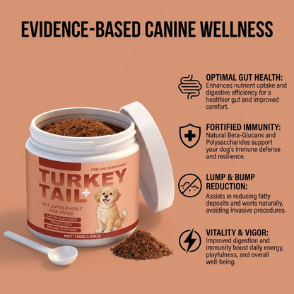 Supplement for Lipomas in Dogs