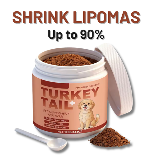 Supplement for Lipomas in Dogs